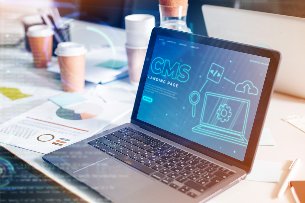 Best wordpress website developers near me